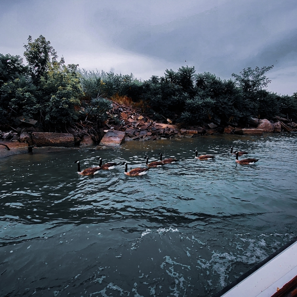 Meet your Posher, Andrew